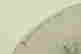 item-130787184=2