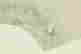 item-130787184=5