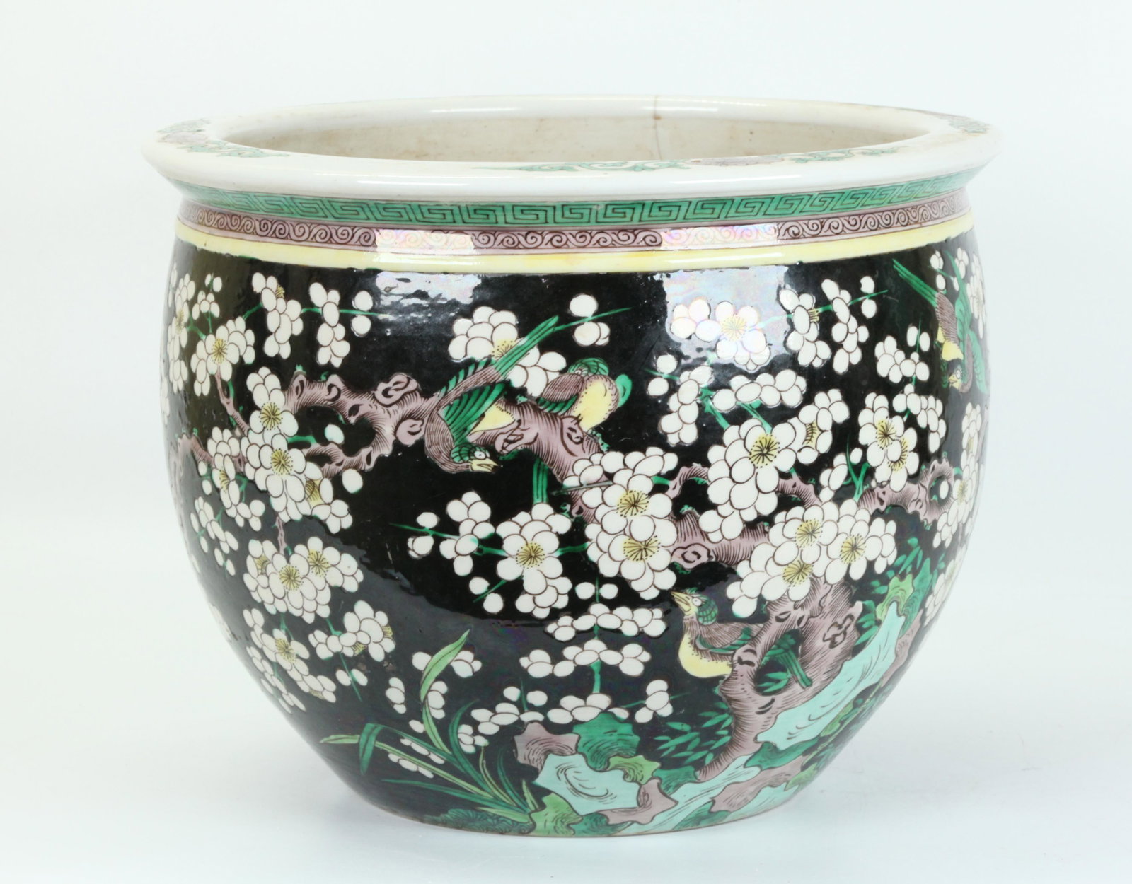 Chinese Qing Famille Noire Porcelain Fish Bowl: Chinese Qing Dynasty Famille Noire Porcelain Fish Bowl with a design to the sides of 4 Birds around Branches of white Prunus Flowers on a black enamel ground, the inside slip-coated and the recessed b