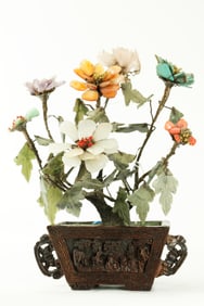 Small Chinese Jade Tree; Chengxiang Wood Planter