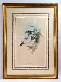 John Gould Hand Colored Lithograph Hummingbirds