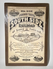 South Side Long Island Railroad 1873 Woodblock