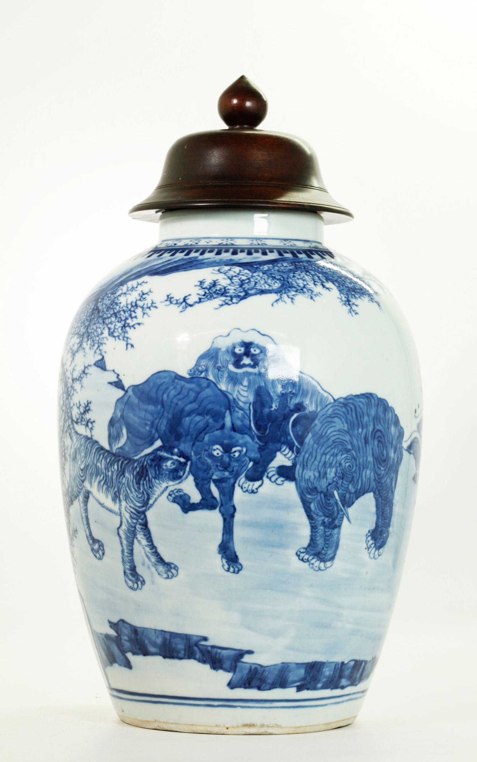 Chinese 18/19th Blue White Auspicious Beast Vase (1 of 5)