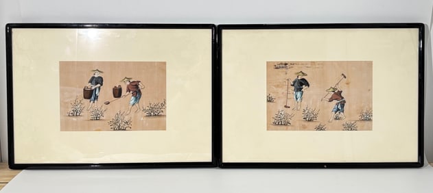 Pr Chinese 19 C Paintings Tea Plant Cultivation