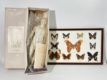 Chinese Acupuncture Model & Book; Thai Butterfly