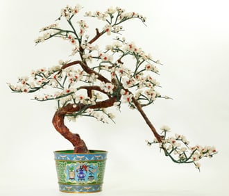 Chinese Hard Stone Bonsai Tree Cloisonne Planter