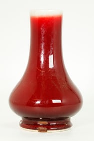 Chinese Underglaze Red Crackle Porcelain Vase