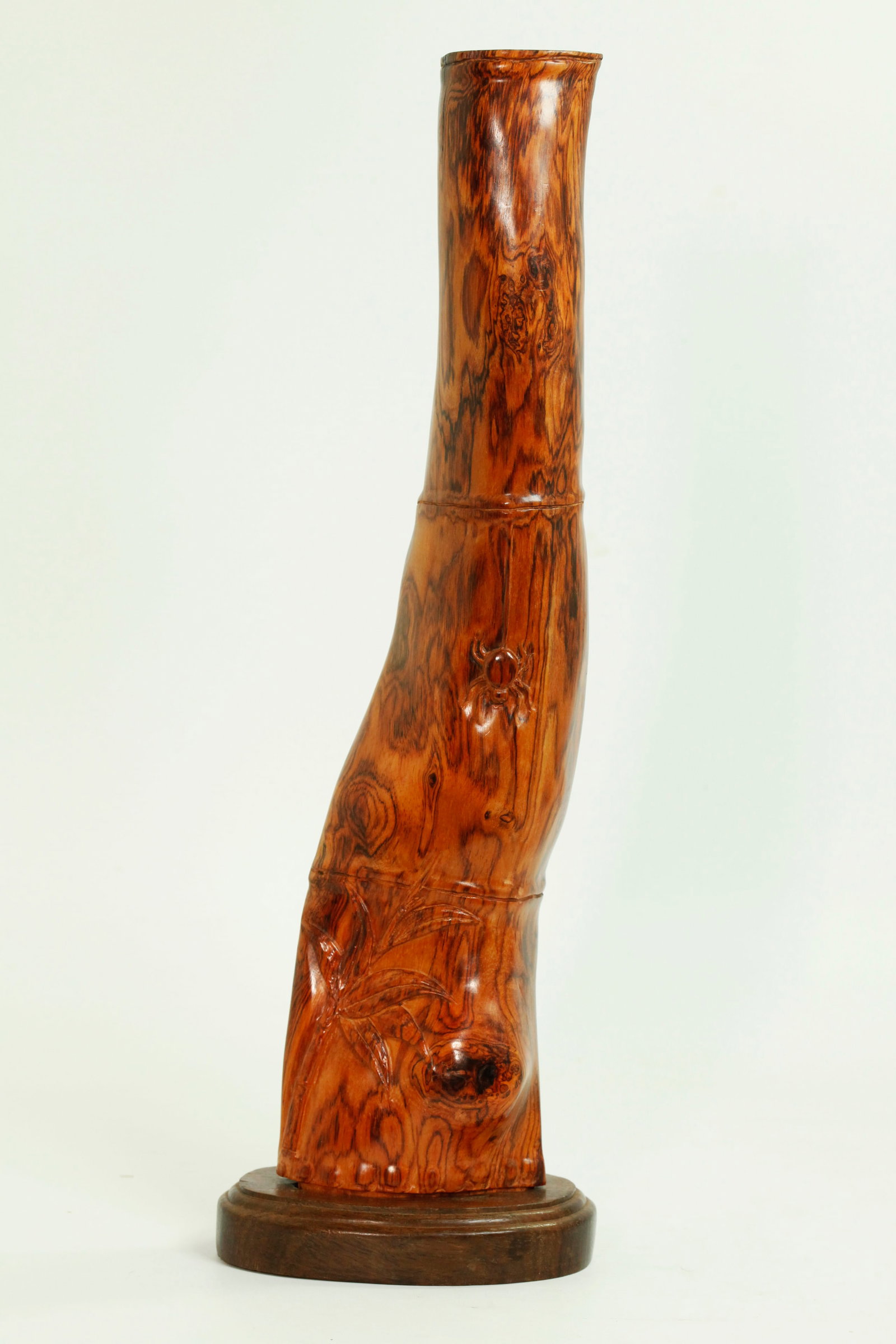 Chinese Carved High Figured Hard Wood Specimen: Chinese Carved High Figured Hard Wood Specimen carved and polished as a length of Bamboo with a bamboo sapling at the bottom and a spider hanging mid-way up; the wood carving fitted into an oval hard
