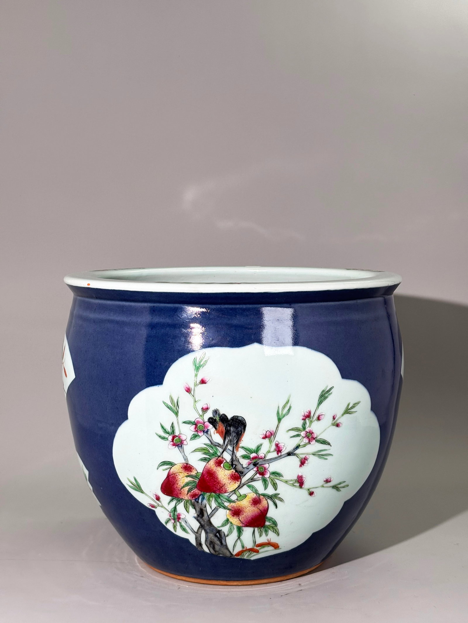 Chinese Qing Blue & Enamel Porcelain Fish Bowl (1 of 7)