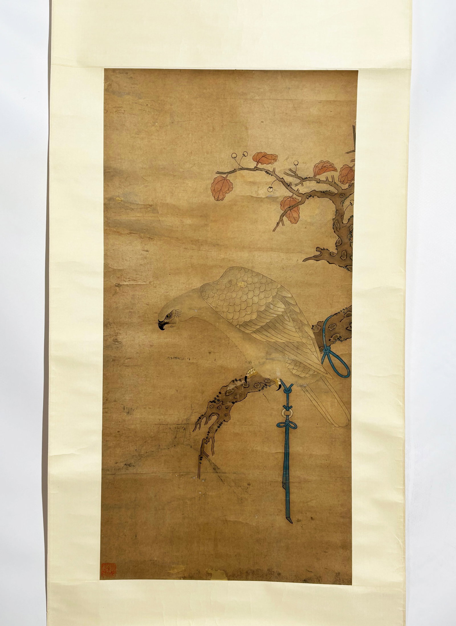 Qing Dynasty Captive Goshawk Perched: Qing Dynasty Captive Goshawk Perched, Ink on antique aged rice paper. Meticulous Chinese bird painting. Finely rendered goshawk with detailed scale-like feather texture perches on gnarled dry woody br