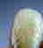 item-37389169=3