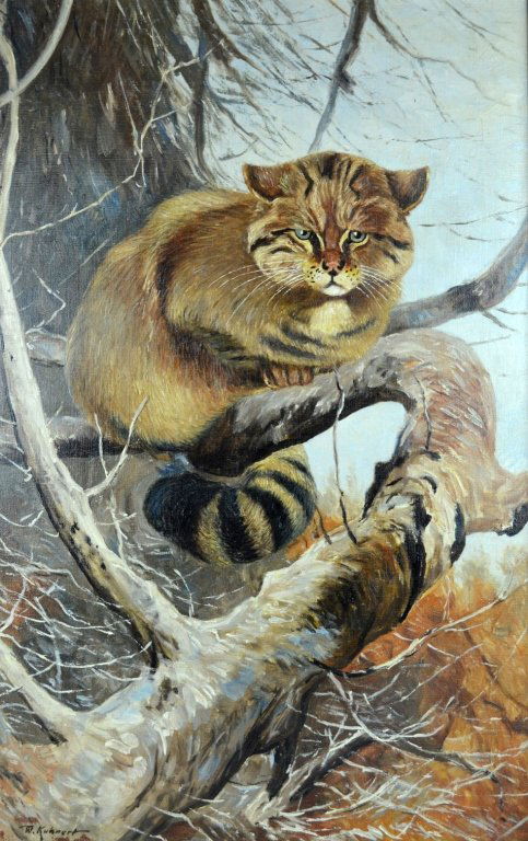 Oil on Canvas "Wildcat in Tree" signed W Kuhnert (1 of 8)