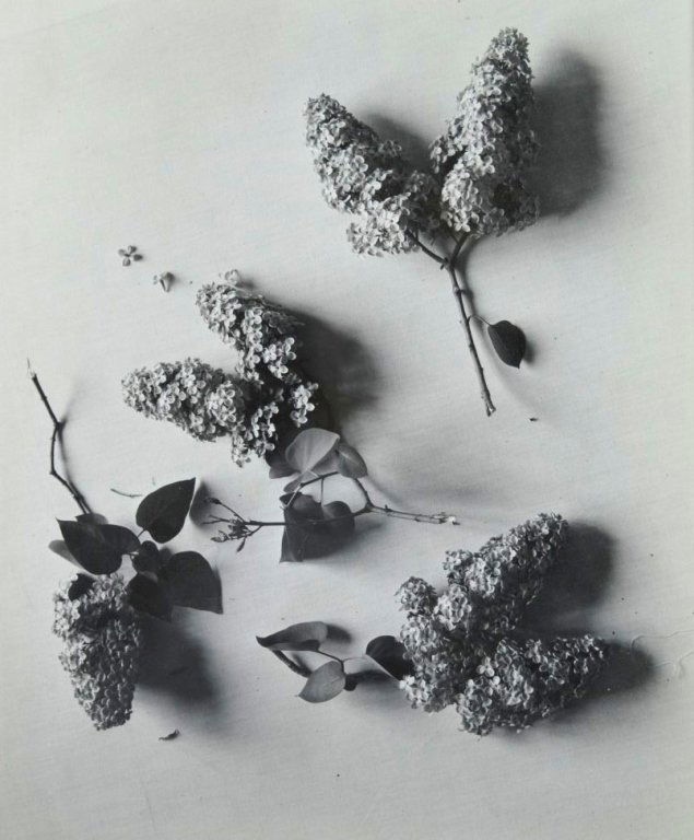 Cecil Beaton; Vintage Gelatin Silver Print, 1946 (1 of 6)