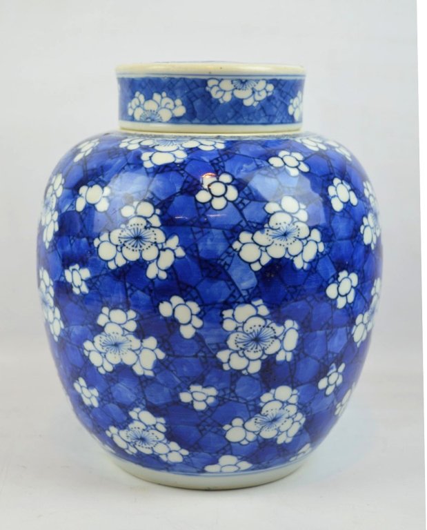 Kangxi Chinese Underglaze Blue Porcelain Jar (1 of 10)