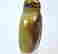 item-49560370=3