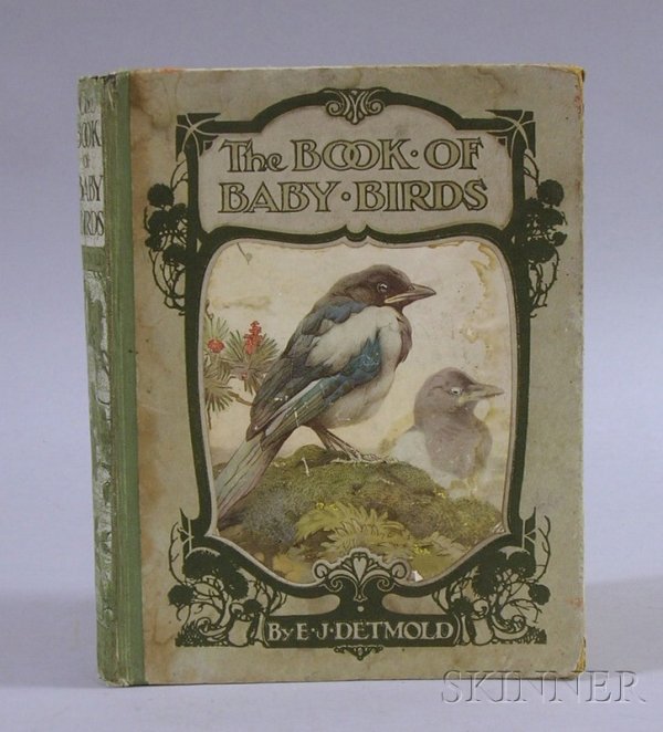 E.J. Detmold, The Book of Baby Birds, Hodder & Sto: E.J. Detmold, The Book of Baby Birds, Hodder & Stoughton.