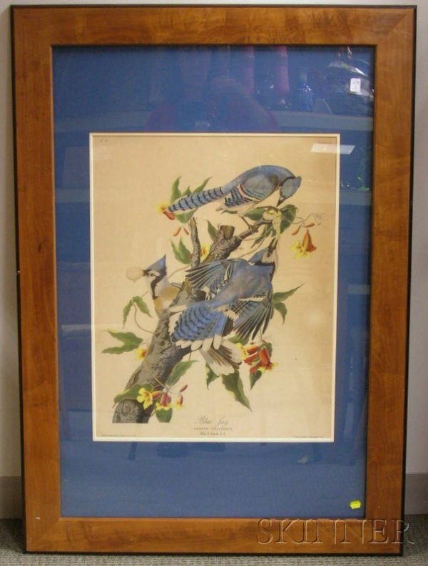 20th Century Enhanced Chromolithograph after Audub: 20th Century Enhanced Chromolithograph after Audubon, John James (1785-1851), Blue Jay, plate CII from The Birds of America, engraved, printed and hand-colored by Robert Havell.