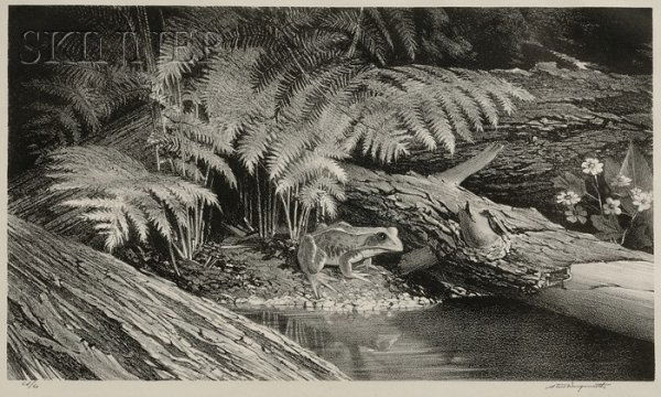 Stow Wengenroth (American, 1906-1978) Forest Ferns: Stow Wengenroth (American, 1906-1978) Forest Ferns, 1969, edition of 60 (Stuckey, 323). Signed "Stow Wengenroth" in pencil l.r., inscribed "Ed/60" in pencil l.l. Lithograph on paper, image size 9 x 15