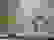 item-7082599=4