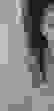 item-7402835=6