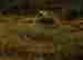 item-112052356=3