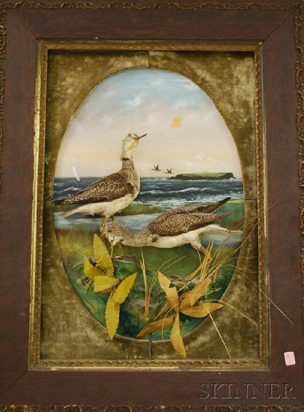 Late Victorian Framed Shorebirds and Painted Scen: Late Victorian Framed Shorebirds and Painted Scene Diorama, (damage, missing glass).