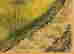 item-112429816=4