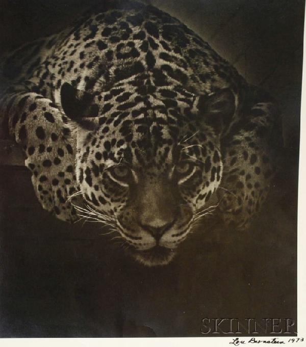 Lou Bernstein (American, 1911-2005) Lot of Two Wil: Lou Bernstein (American, 1911-2005) Lot of Two Wildlife Photographs: Belugas and Leopard. Both signed and dated "Lou Bernstein 1973" l.r. Black and white photographs, sheet sizes 13 7/8