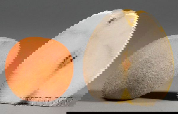 Two Pieces of Stone Fruit, an orange and an apple: Two Pieces of Stone Fruit, an orange and an apple half, late 19th century, dia. 2 1/2, 4 in.