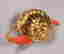 item-7797510=2