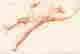 item-116244582=2