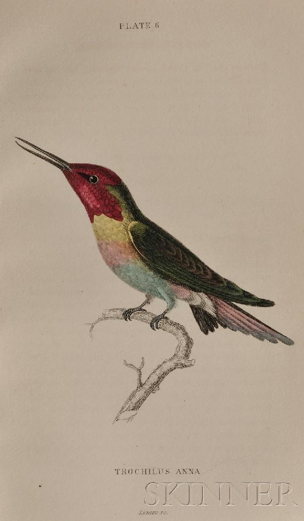 Jardine, William, Sir (1800-74), The Naturalist's: Jardine, William, Sir (1800-74), The Naturalist's Library, Edinburgh, 1833-43, forty volumes, with hand-colored plates, three quarter calf, 8vo; sold together with Wilson, Alexander and Bonaparte, C.L