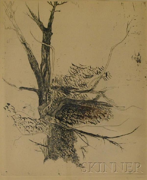 Leonard Baskin (American, 1922-2000) Thorn Apple.: Leonard Baskin (American, 1922-2000) Thorn Apple. Signed and numbered "41/50 Baskin" in pencil l.r., signed and dated in the plate "19B61" l.r. Etching, plate size 17 3/4 x 14 1/2 in., framed. Con
