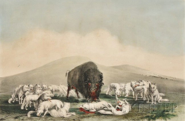 George Catlin Colored Lithograph, c. 19th century,: George Catlin Colored Lithograph, c. 19th century, published by Currier and Ives, depicting a wounded buffalo surrounded by a pack of wolves, matted, 18 1/2 x 12 1/2 in.
