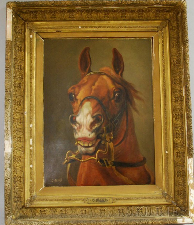 Attributed to George Ford Morris (American, 1873-19: Attributed to George Ford Morris (American, 1873-1960) Portrait of a Horse's Head. Bears signature "G Morris" l.l., identified on a presentation plaque. Oil on canvas, 24 x 18 in., framed. Condition: 