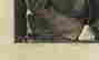 item-128284843=3