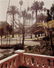 245: Stephen Shore (American, b. 1947) Foothill Rd., Be