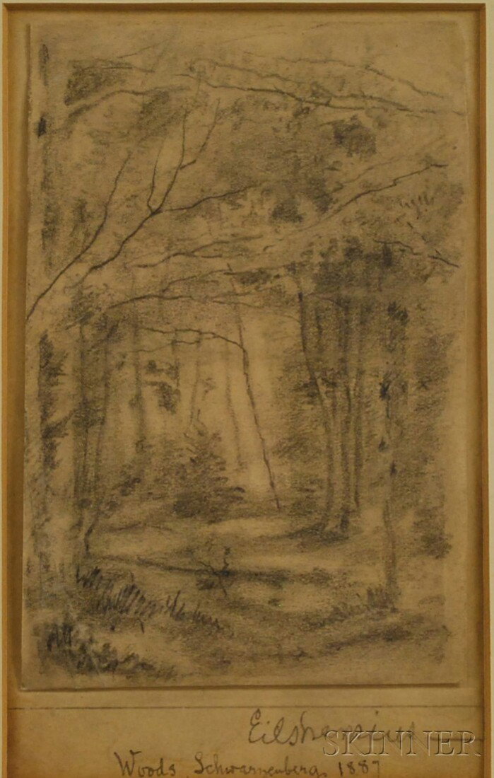 Louis Michel Eilshemius (American, 1864-1941) Wood: Louis Michel Eilshemius (American, 1864-1941) Woods, Schwarzenberg, 1887. Inscribed, titled, and dated "Eilshemius..." in pencil on the support l.r., identified on labels from Babcock Galleries, New