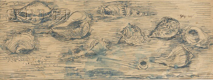Jean Dufy (French, 1888-1964) Coquillages Signed ": Jean Dufy (French, 1888-1964) Coquillages Signed "Jean Dufy" l.l., identified on a label from Herman C. Goldsmith, New York, affixed to the backing. Ink on paper, 9 1/4 x 24 3/4 in. (23.5