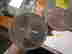 item-9986039=2
