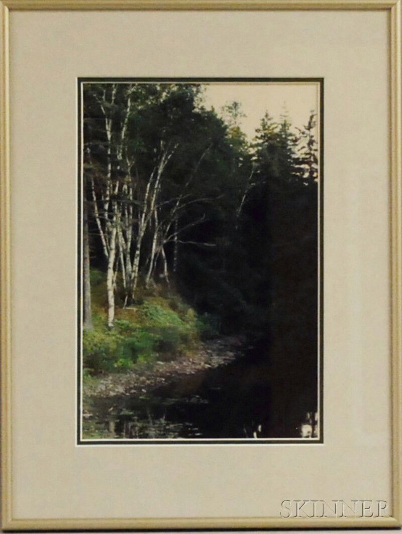 Attributed to Eliot Porter (American, 1901-1990) Bi: Attributed to Eliot Porter (American, 1901-1990) Birches by the Shore, Possibly Great Spruce Head Island, Maine. Unsigned. Chromogenic print, 12 x 8 in., mounted, framed.