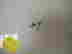 item-10587362=3