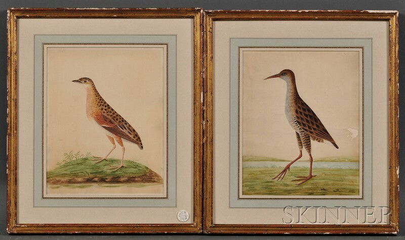 British School, 19th Century Two Wading Birds Unsi: British School, 19th Century Two Wading Birds Unsigned. Watercolor on paper, sight size to 11 1/2 x 9 1/8 in., framed. Condition: Toning, scattered holes, not examined out of frames.