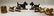 1101: Four Cast Iron Dog Figural Doorstops, a Bookend,