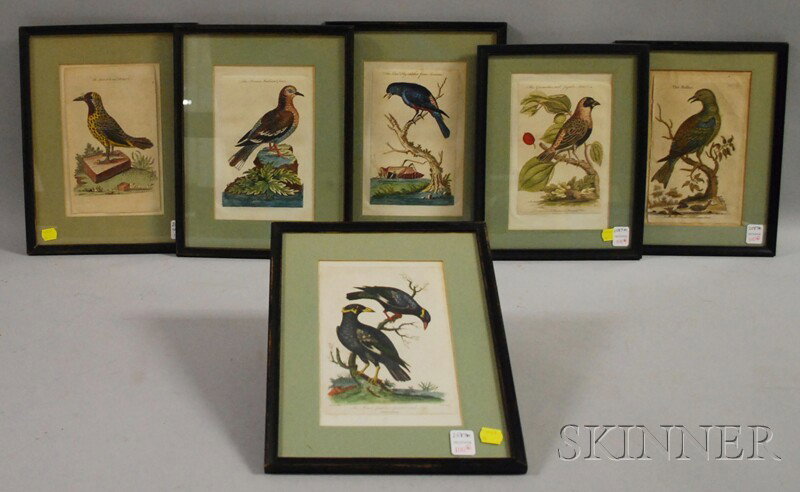Six Framed Hand-colored Bird Prints, England, lat: Six Framed Hand-colored Bird Prints, England, late 18th century, four inscribed "Printed for J. Hinton in Newgate Street" depicting "The Brown Indian Dove," "The Roller," The blue Fly-catcher from Sur