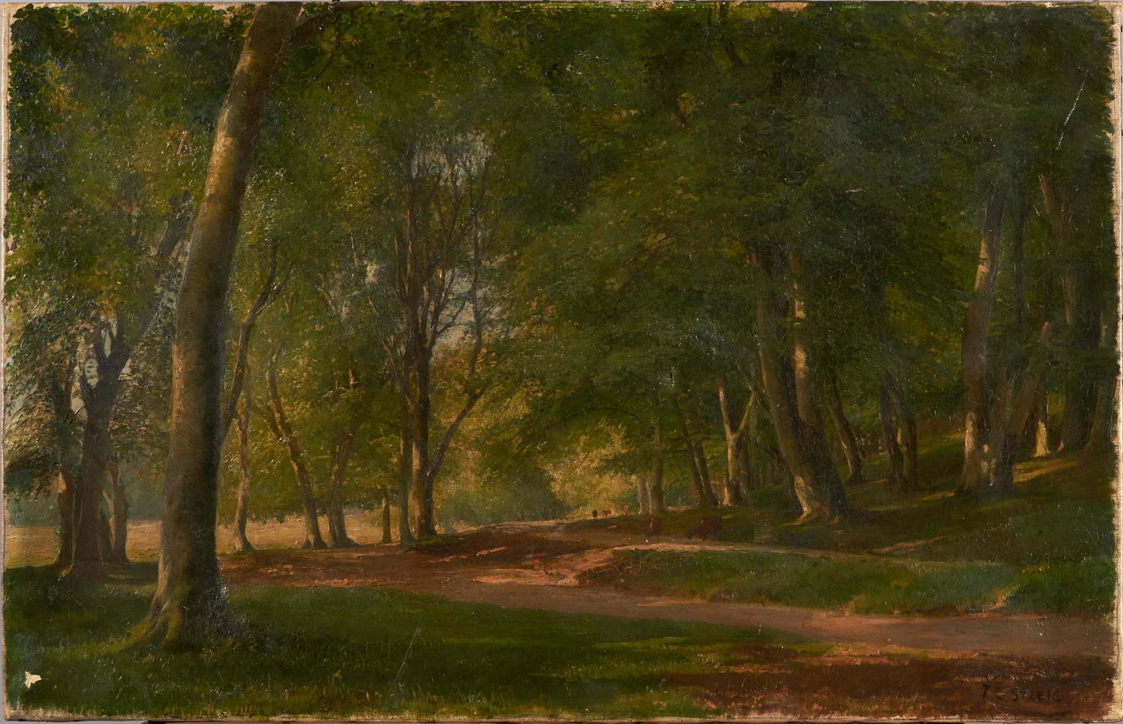 Theodore Clement Steele (American, 1847-1926) Cattle Meandering a Wooded Path 17 3/4 x 27 1/2 in...: Theodore Clement Steele (American, 1847-1926) Cattle Meandering a Wooded Path signed 'T.C. Steele' (lower right) oil on canvas 17 3/4 x 27 1/2 in. unframed