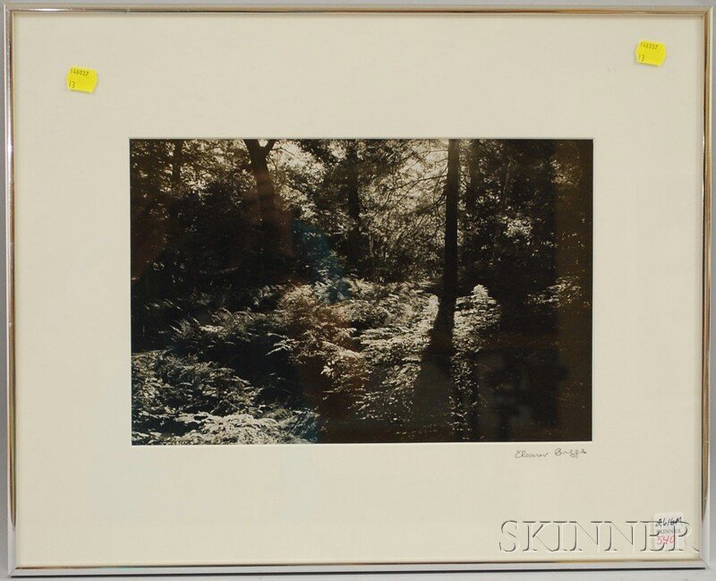 Framed Black and White Woodland Photograph, of fer: Framed Black and White Woodland Photograph, of ferns covering a forest floor, signed "Eleanor Briggs" on the mat l.r., sight size 8 3/4 x 13 1/4 in., (not examined out of frame).