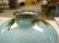 545: Cloisonne Vase, Japan, 20th century, baluster shap - 3