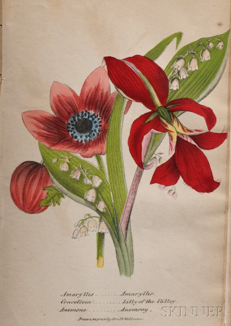 Newman, John B. (fl. circa 1840) Illustrated Botany. Ne: Newman, John B. (fl. circa 1840) Illustrated Botany. New York: Wellman, 1846. Octavo, first edition, volume one only, illustrated throughout with vibrantly colored lithographic plates, cloth binding s
