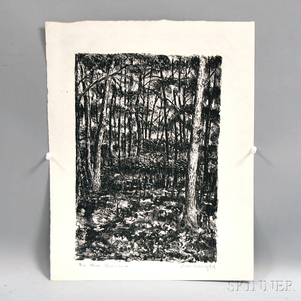 Ivan Albright (American, 1897-1983) Are there trees-no-: Ivan Albright (American, 1897-1983) Are there trees-no-. Titled and signed in pencil in the margin. Lithograph, sheet size 16 1/4 x 12 7/8 in., unframed. Condition: Three deckled edges, crease